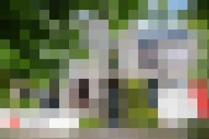 Olieslagershorst 228 Apeldoorn thumbnail 47