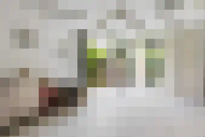 Olieslagershorst 228 Apeldoorn thumbnail 6