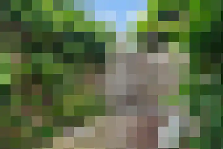 Olieslagershorst 228 Apeldoorn thumbnail 8