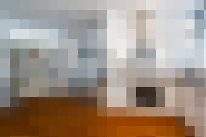 Olieslagershorst 228 Apeldoorn thumbnail 9