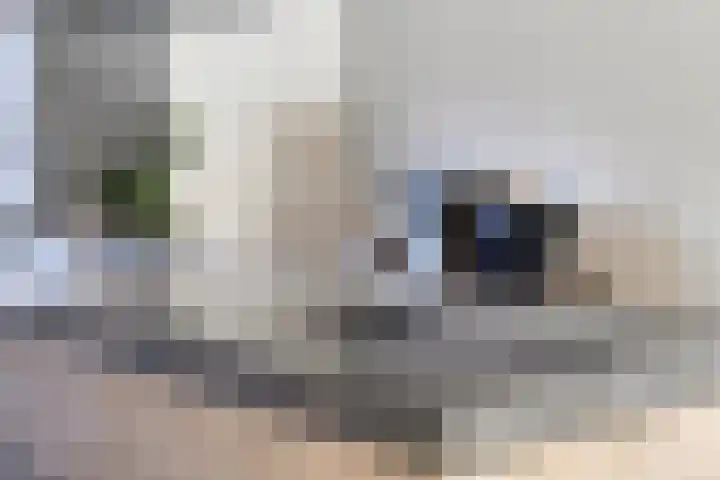 Olieslagershorst 413 Apeldoorn thumbnail 13