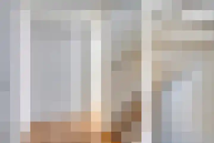 Olieslagershorst 413 Apeldoorn thumbnail 16