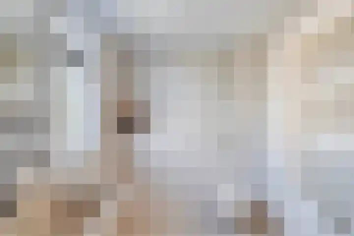 Olieslagershorst 413 Apeldoorn thumbnail 19