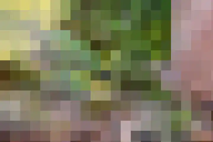 Olieslagershorst 413 Apeldoorn thumbnail 27