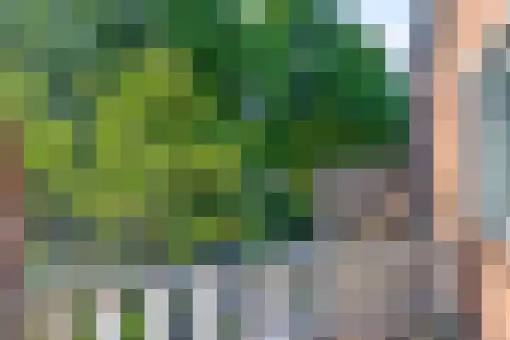 Olieslagershorst 413 Apeldoorn thumbnail 29