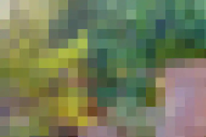 Olieslagershorst 413 Apeldoorn thumbnail 30