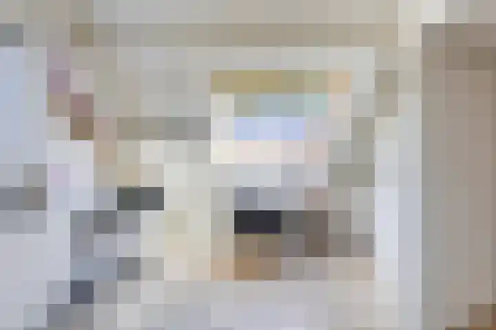 Olieslagershorst 413 Apeldoorn thumbnail 4