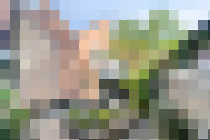 Olieslagershorst 413 Apeldoorn thumbnail 5