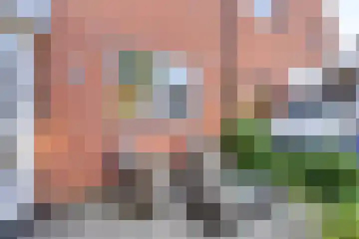 Olieslagershorst 413 Apeldoorn thumbnail 6