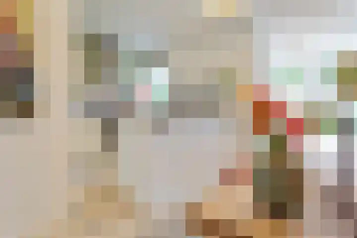 Olieslagerslaan 10 ZW Haarlem thumbnail 10