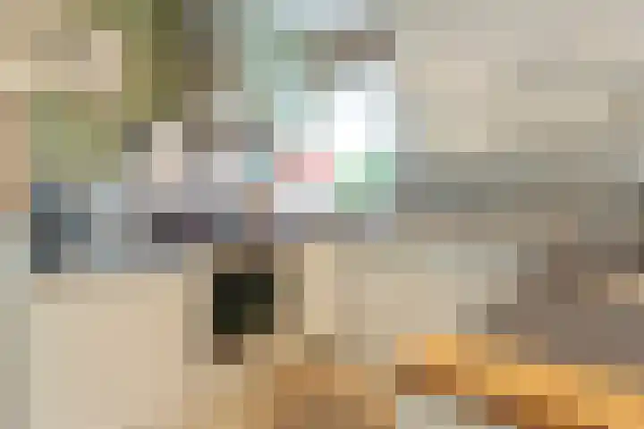 Olieslagerslaan 10 ZW Haarlem thumbnail 14
