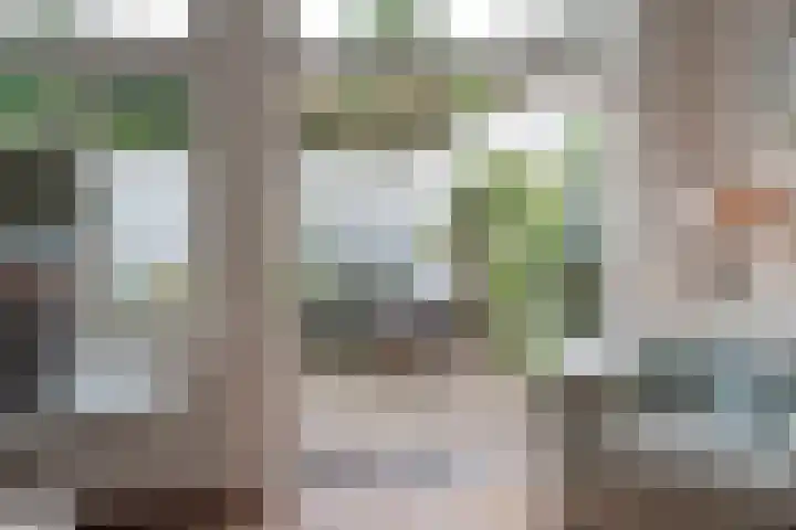 Olieslagerslaan 10 ZW Haarlem thumbnail 20