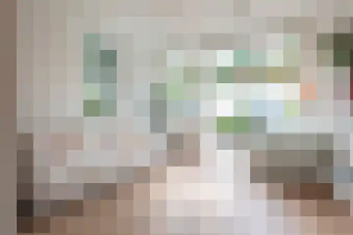 Olieslagerslaan 10 ZW Haarlem thumbnail 26