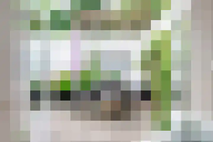 Olieslagerslaan 10 ZW Haarlem thumbnail 27