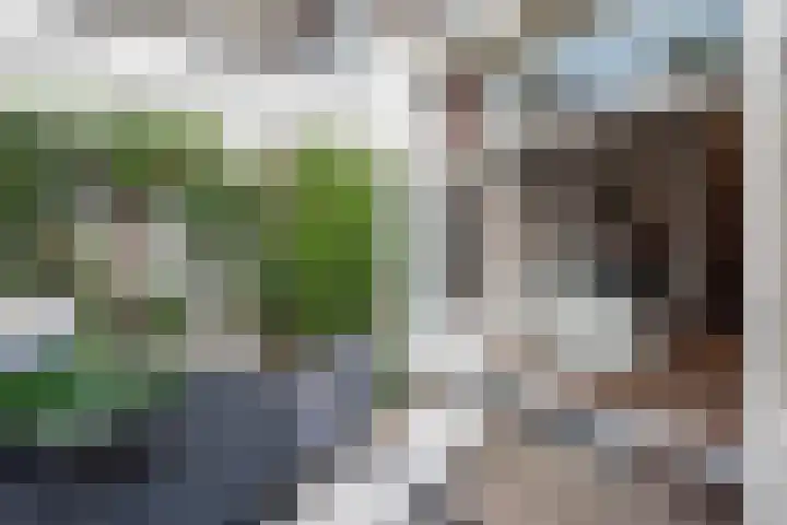 Olieslagerslaan 10 ZW Haarlem thumbnail 28