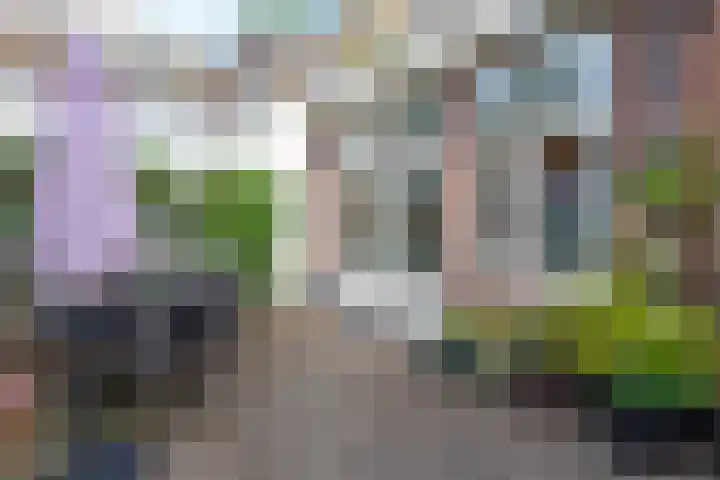 Olieslagerslaan 10 ZW Haarlem thumbnail 30
