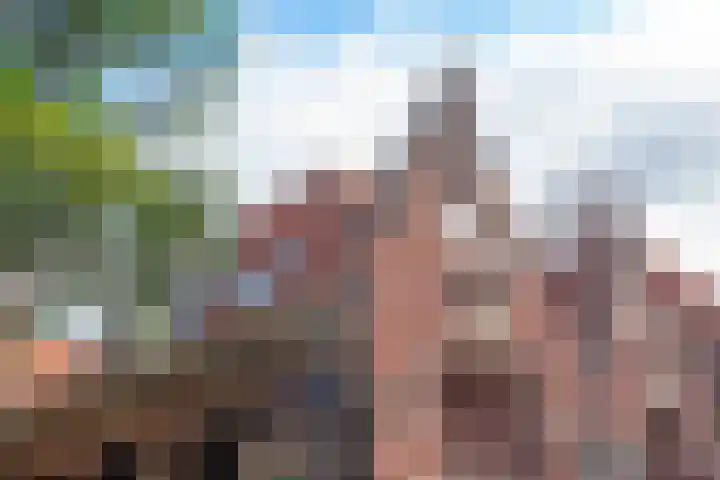 Olieslagerslaan 10 ZW Haarlem thumbnail 33