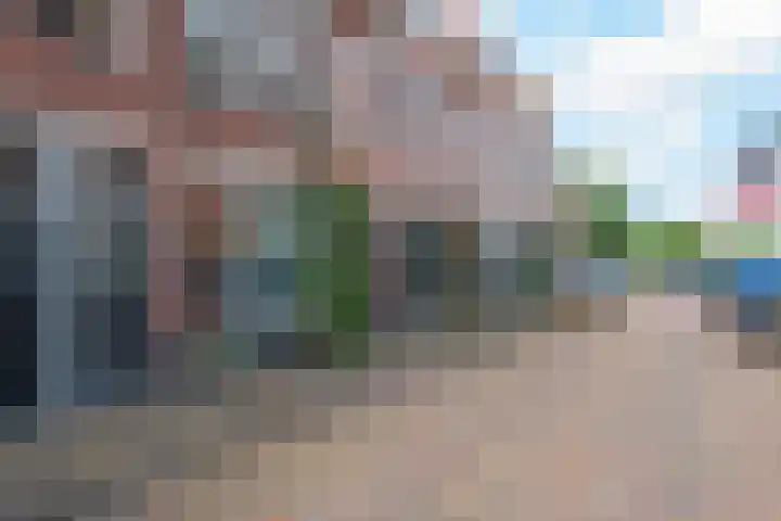 Olieslagerslaan 10 ZW Haarlem thumbnail 35