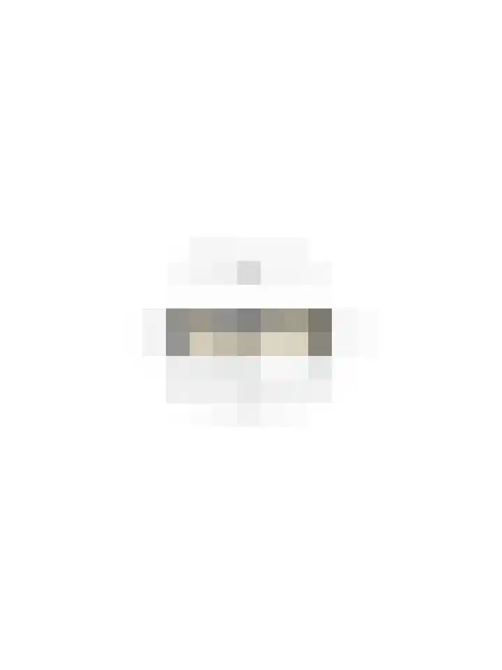 Olieslagerslaan 10 ZW Haarlem thumbnail 41