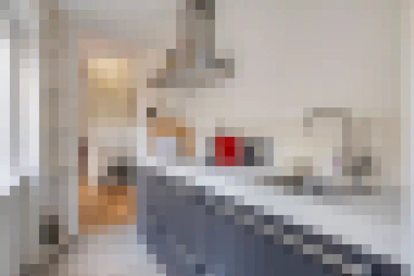 Olieslagerslaan 58 Haarlem thumbnail 10