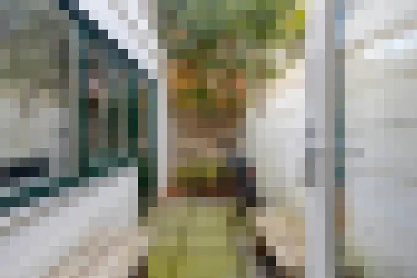 Olieslagerslaan 58 Haarlem thumbnail 14