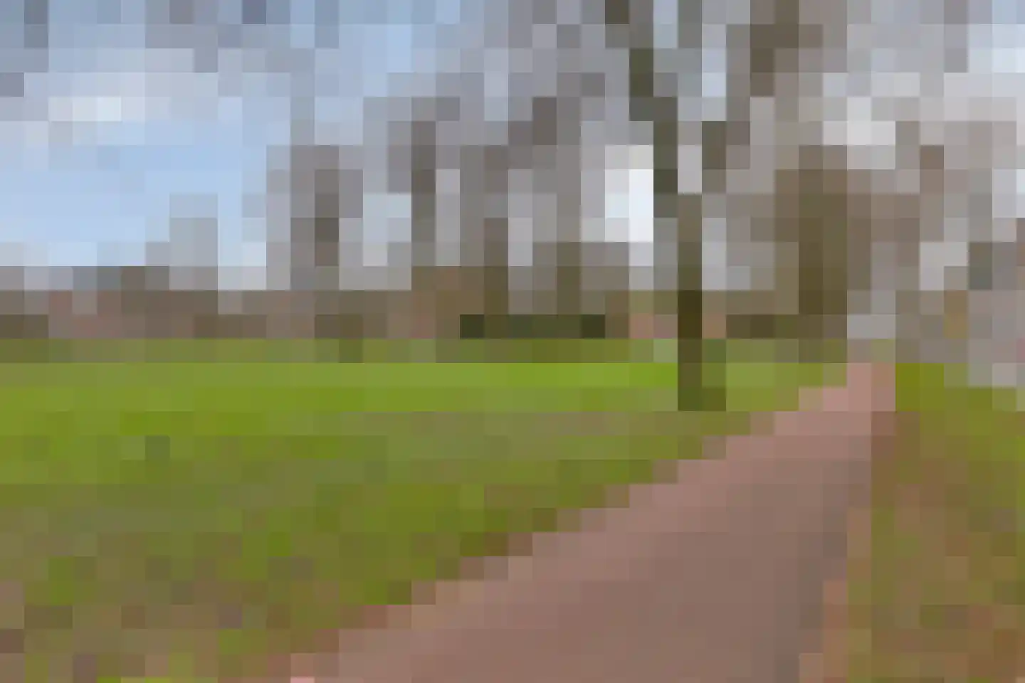 Olieslagerslaan 58 Haarlem thumbnail 28