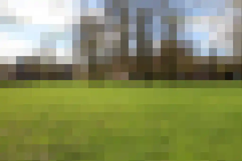 Olieslagerslaan 58 Haarlem thumbnail 29