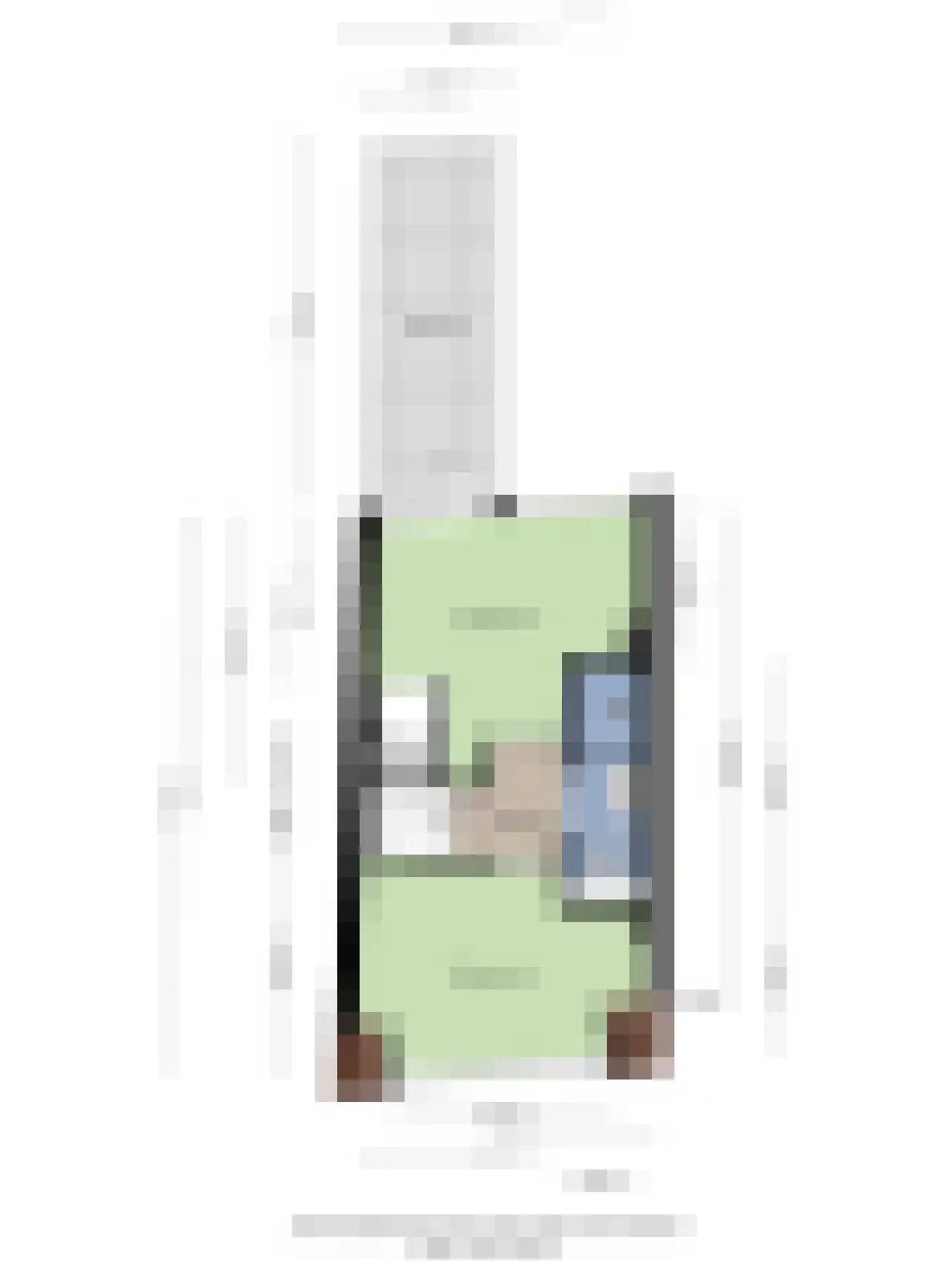 Olieslagerslaan 58 Haarlem thumbnail 32