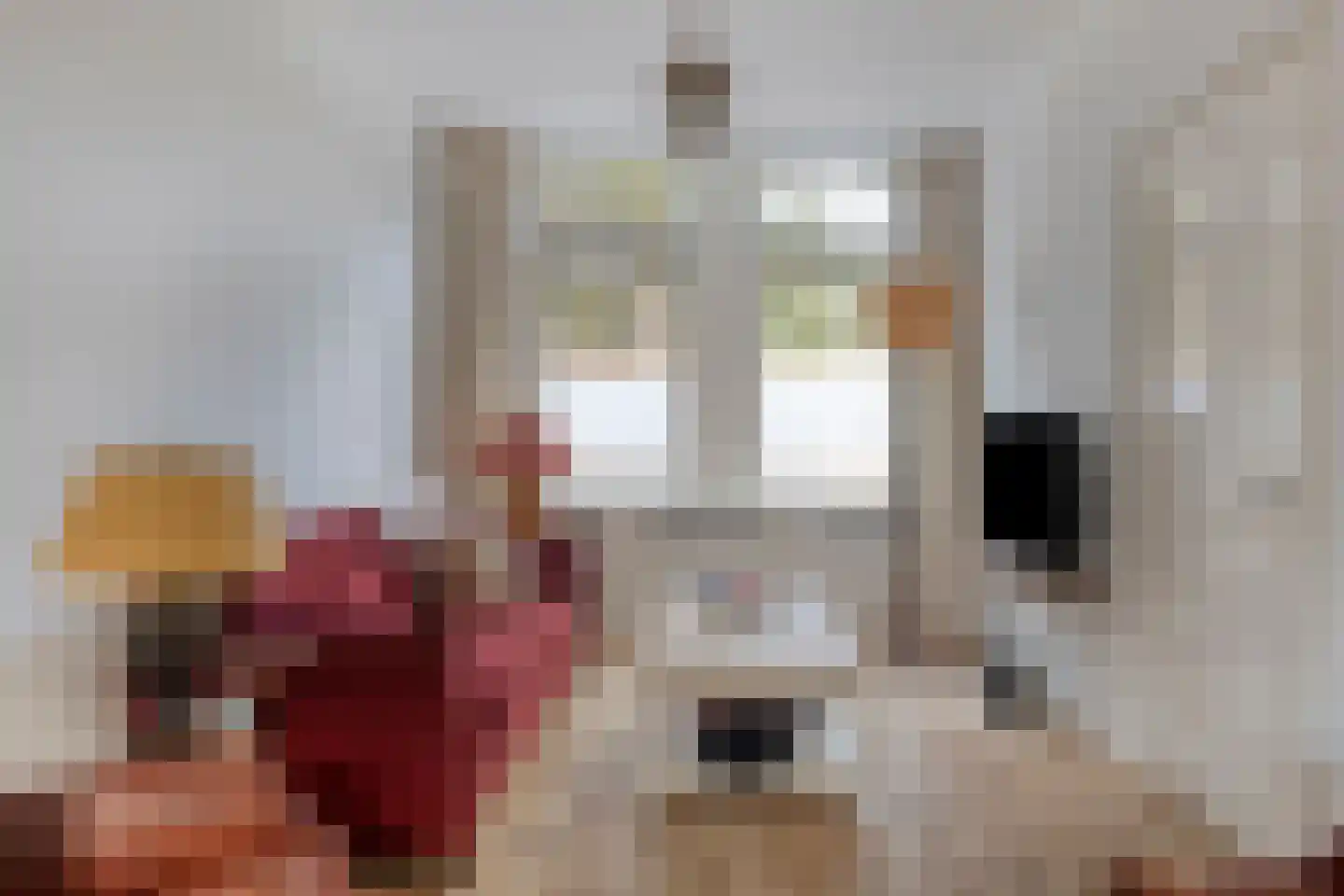Olieslagerslaan 58 Haarlem thumbnail 5