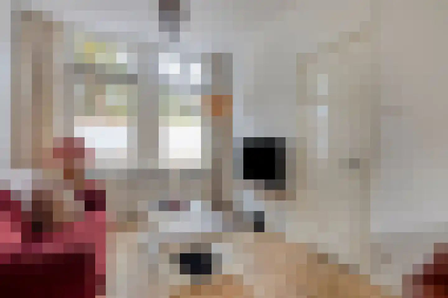 Olieslagerslaan 58 Haarlem thumbnail 6