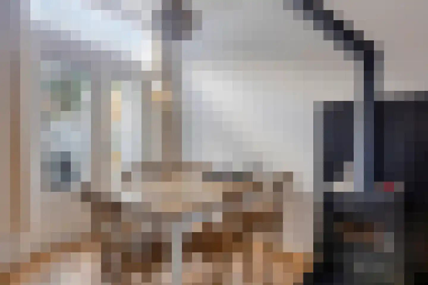 Olieslagerslaan 58 Haarlem thumbnail 7