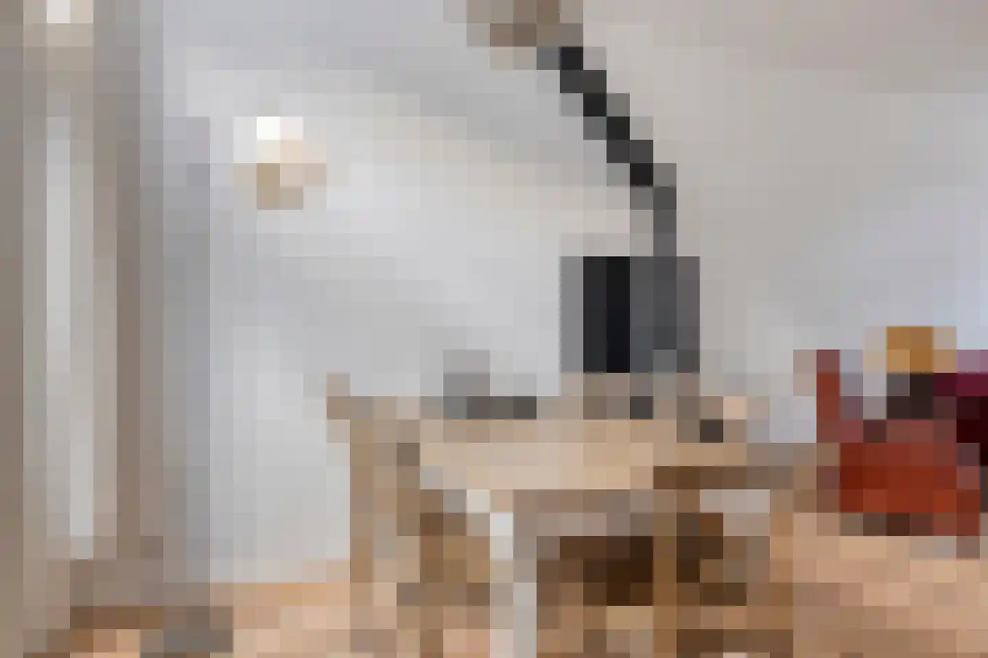 Olieslagerslaan 58 Haarlem thumbnail 8