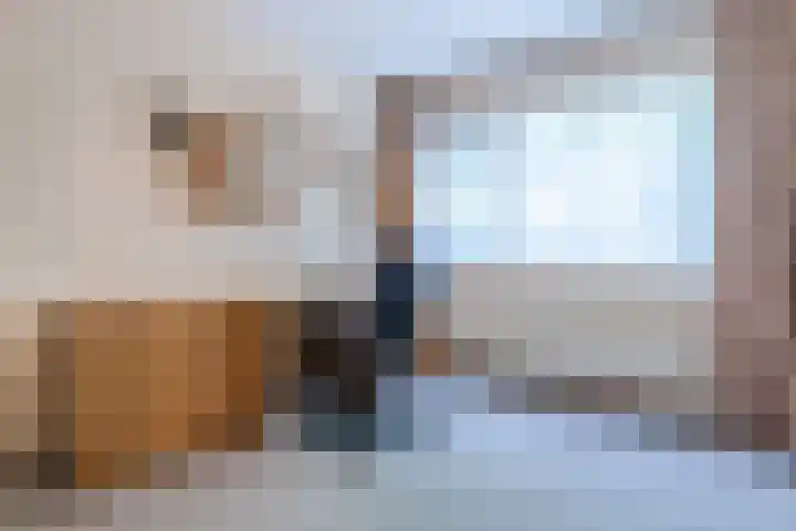 Olieslagerspad 1 Zaandam thumbnail 15