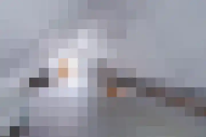 Olieslagerspad 1 Zaandam thumbnail 25