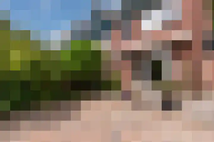 Olieslagerspad 1 Zaandam thumbnail 28