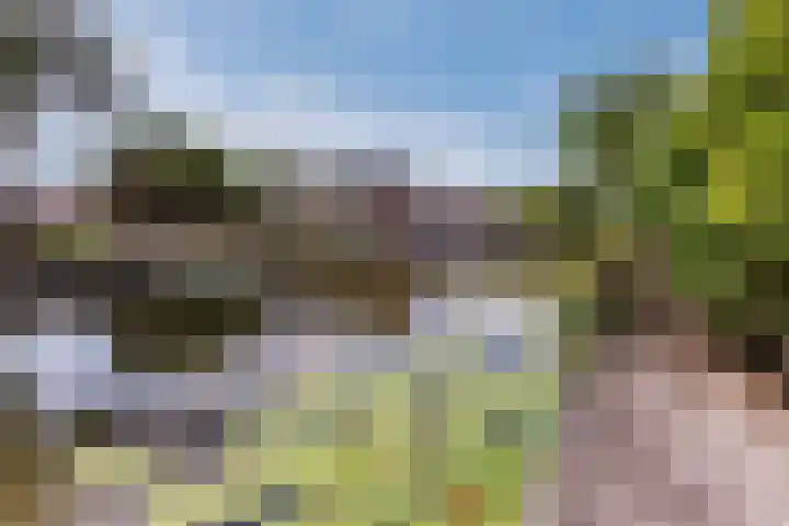 Olieslagerspad 1 Zaandam thumbnail 30