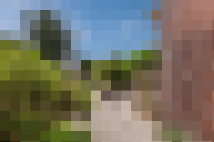 Olieslagerspad 1 Zaandam thumbnail 31