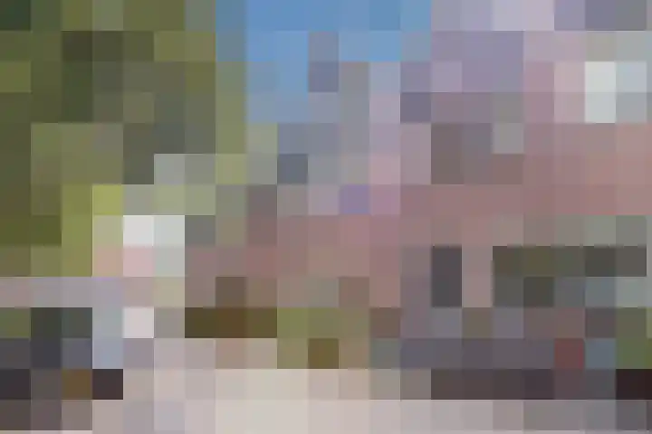 Olieslagerspad 1 Zaandam thumbnail 34