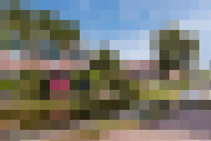 Olieslagerspad 1 Zaandam thumbnail 39