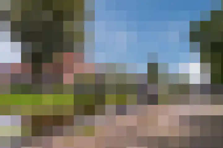 Olieslagerspad 1 Zaandam thumbnail 40