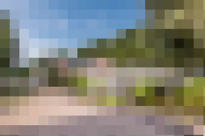 Olieslagerspad 1 Zaandam thumbnail 41