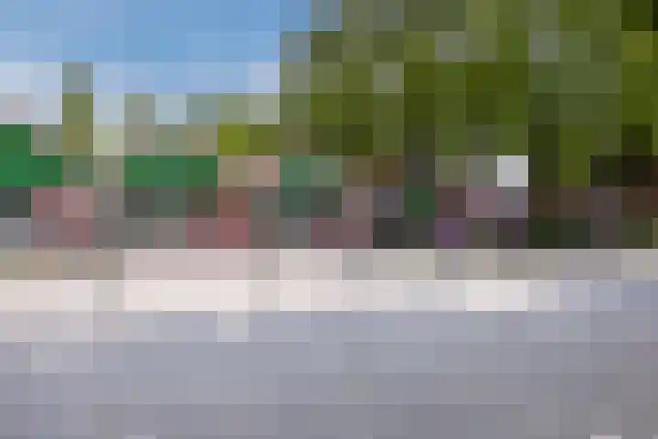Olieslagerspad 1 Zaandam thumbnail 42