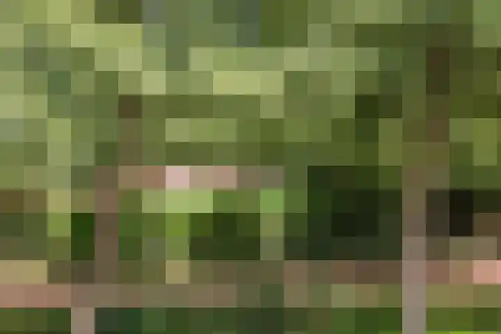Olieslagerspad 1 Zaandam thumbnail 43