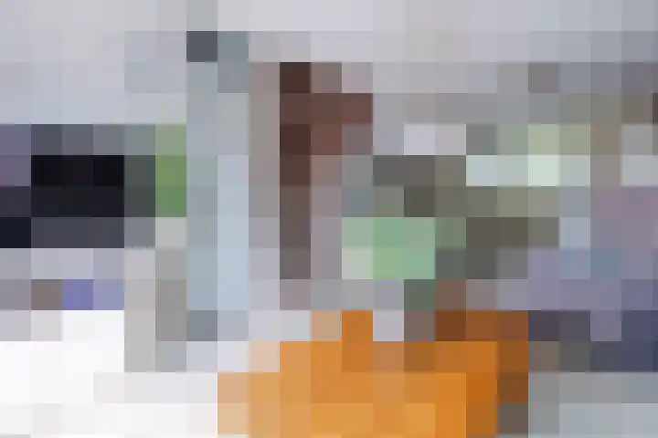 Olieslagerspad 1 Zaandam thumbnail 5