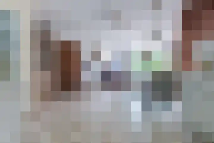 Olieslagerspad 1 Zaandam thumbnail 8