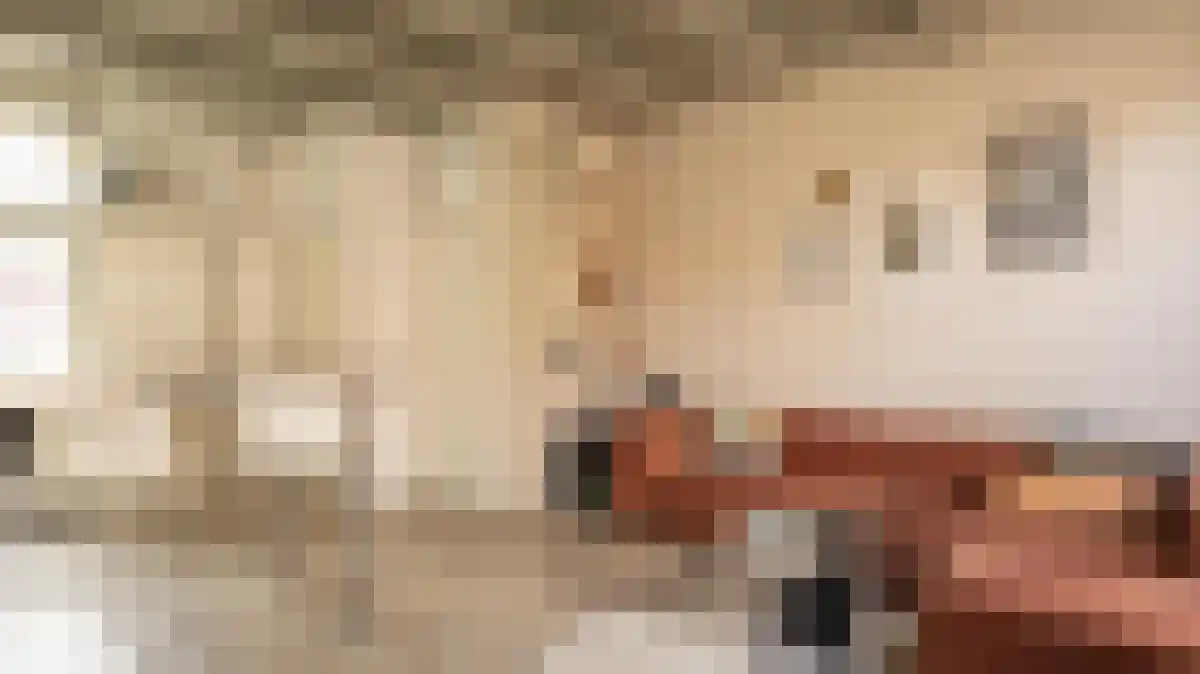 Olieslagerspoort 1 A Leiden thumbnail 5
