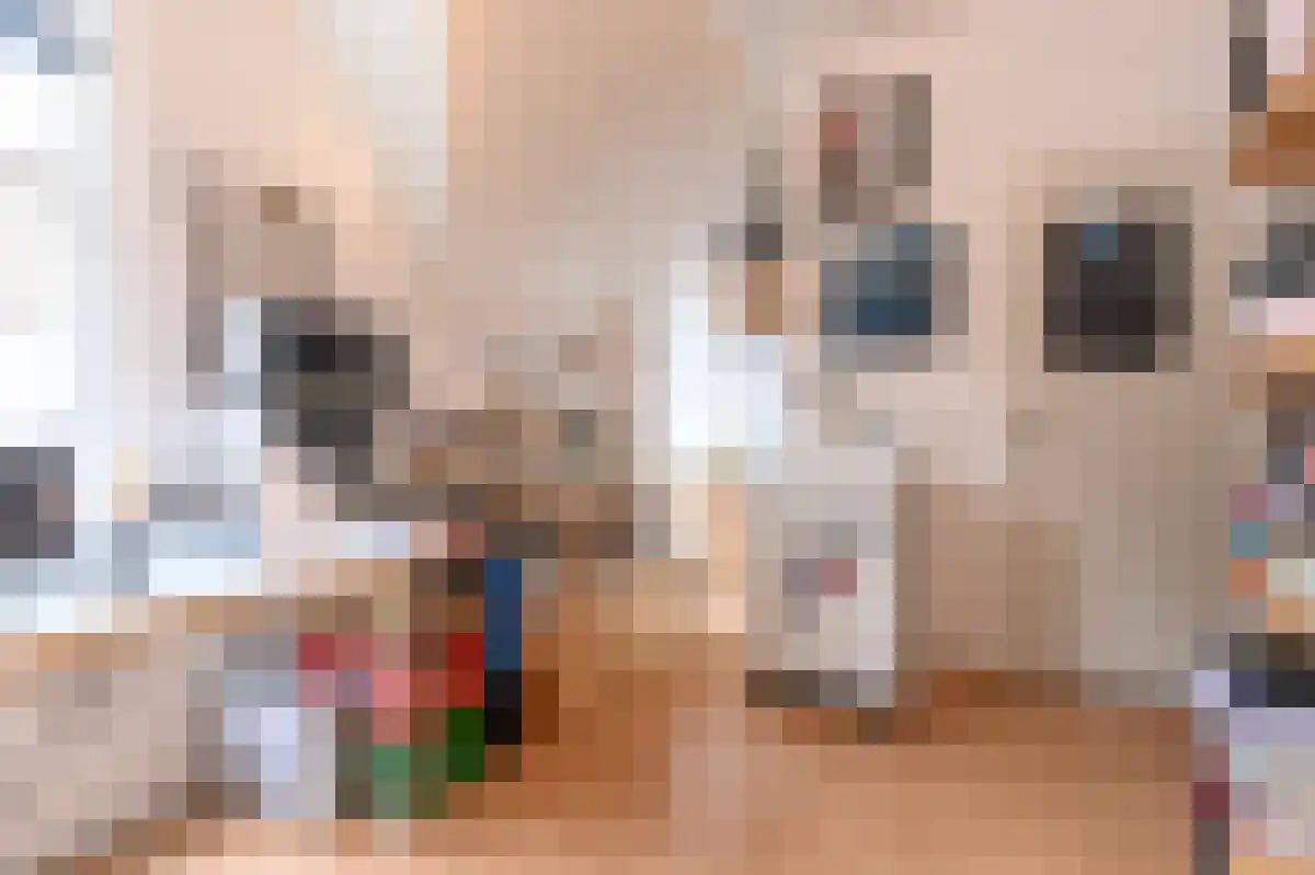 Olieslagerspoort 18 Leiden thumbnail 4