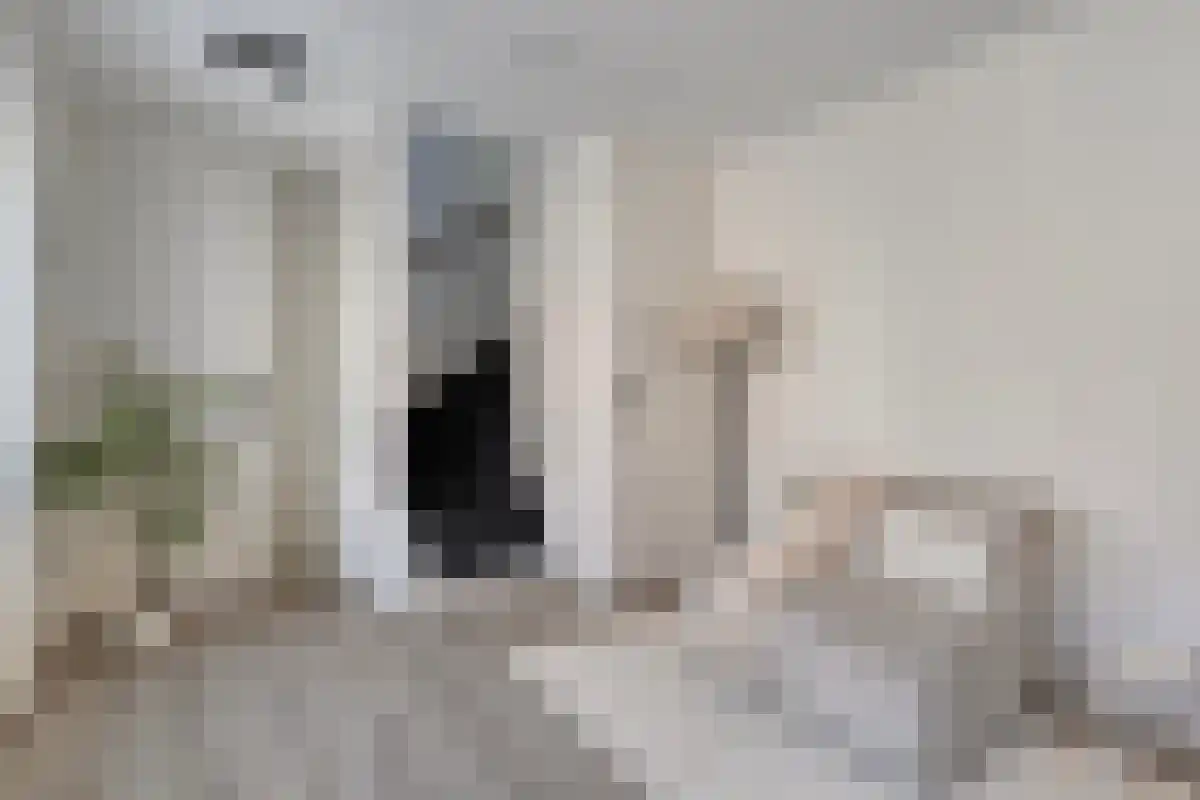 Olieslagerspoort Leiden thumbnail 4