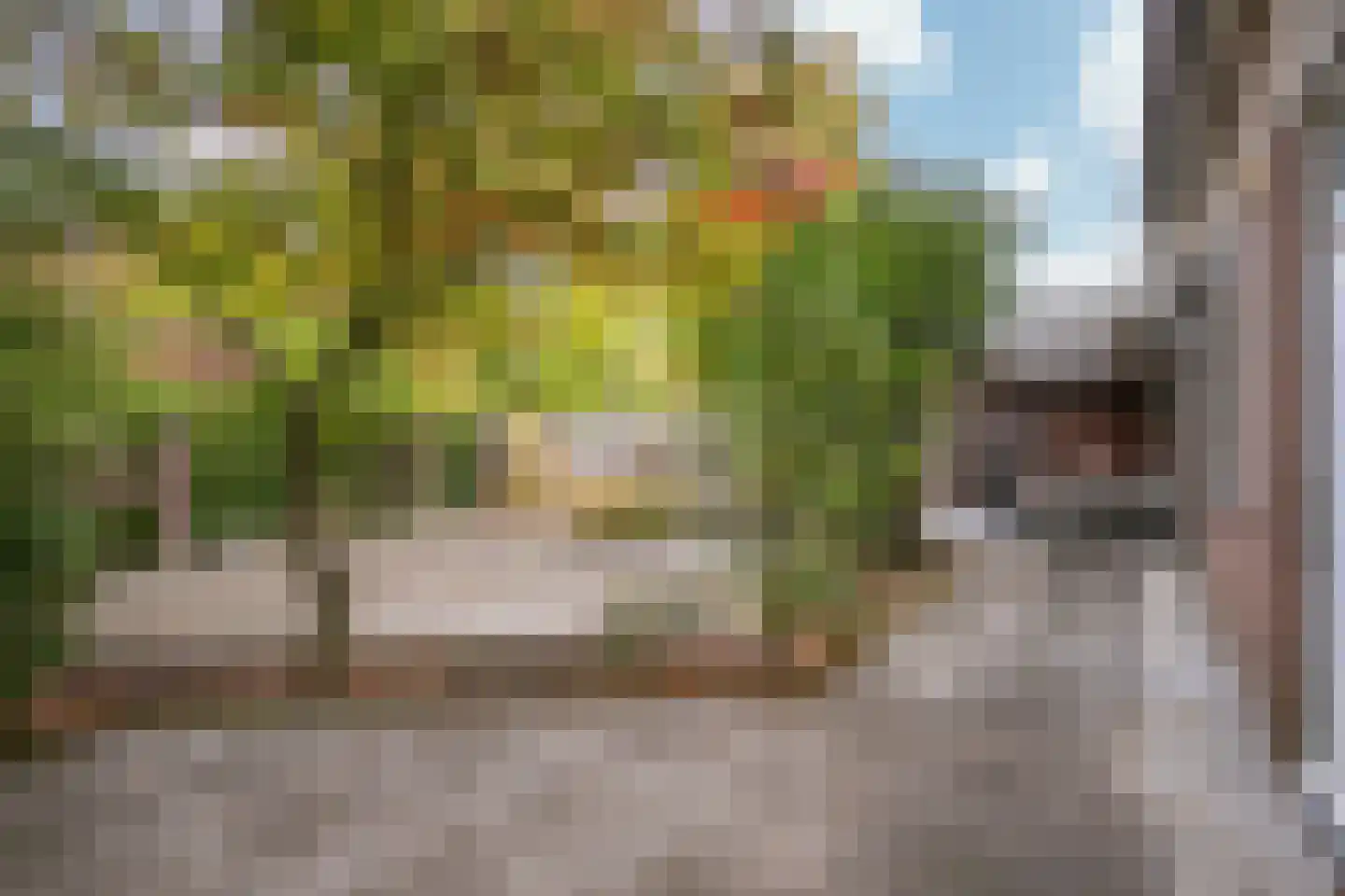 Olieslagersstraat 13 Roermond thumbnail 23