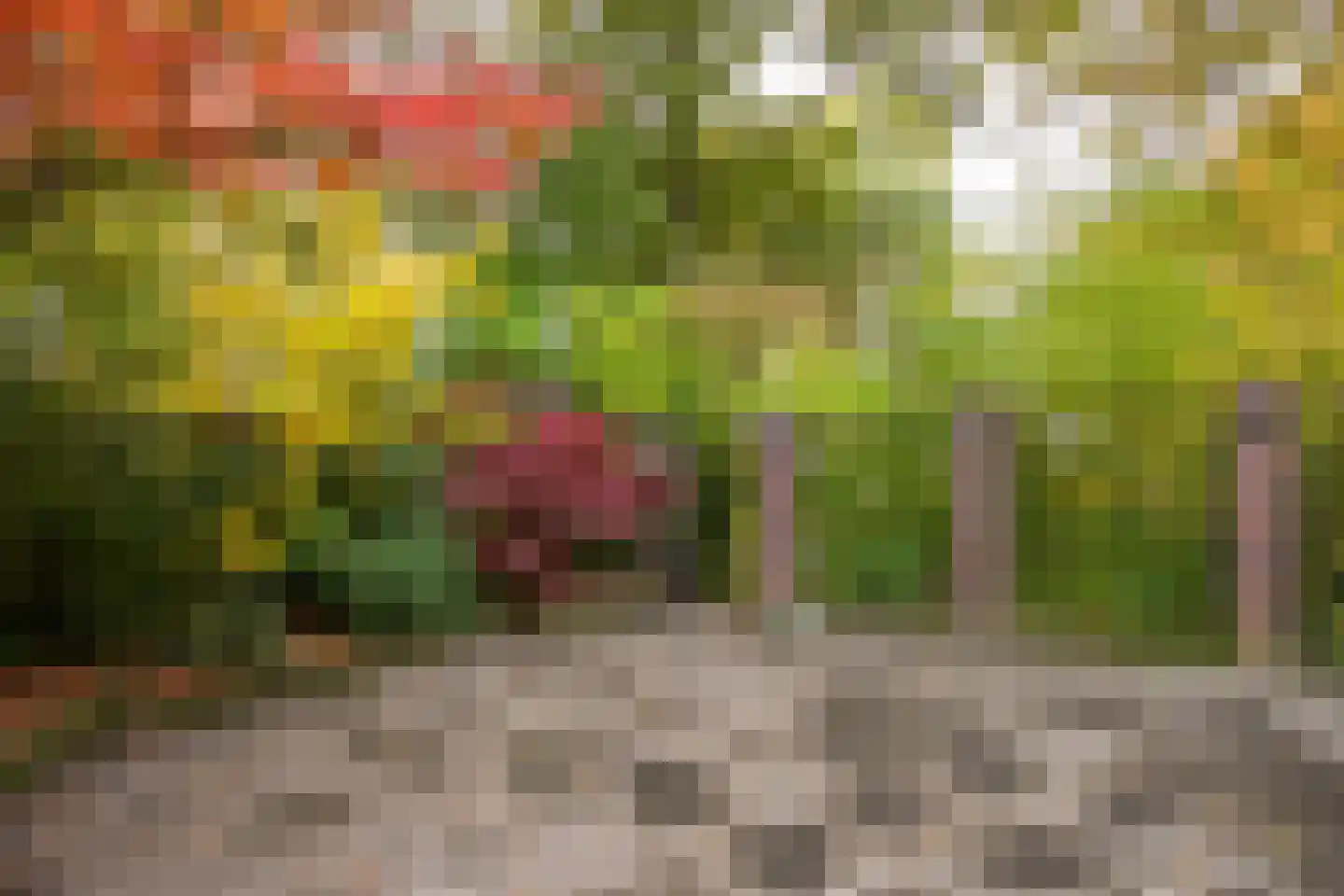 Olieslagersstraat 13 Roermond thumbnail 30